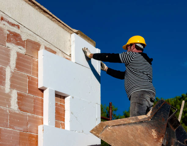Best Eco-Friendly Insulation in Richnd Heights, MO