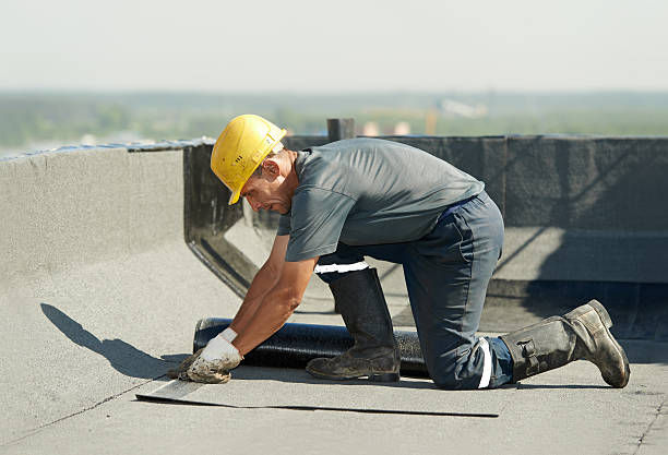 Best Cellulose Insulation in Richnd Heights, MO